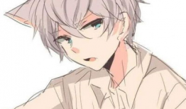 动漫高冷男,高冷气质下的温暖故事